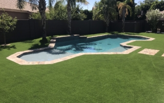 Freeform pool with travertine coping in a turf backyard with palm trees