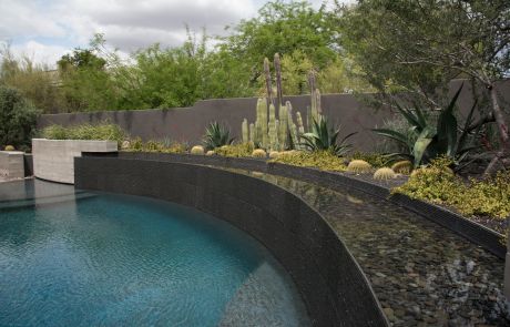Curved dark-tile water wall beside a modern pool with desert planting